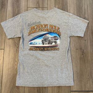 Vintage Chester’s Jackson Hole Wyoming Harley Davidson T Shirt Grey Size Small